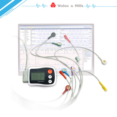 Registratore medico di Holter ECG di Manica del LED 3 con le procedure di analisi 75 * 55 * 16 millimetri